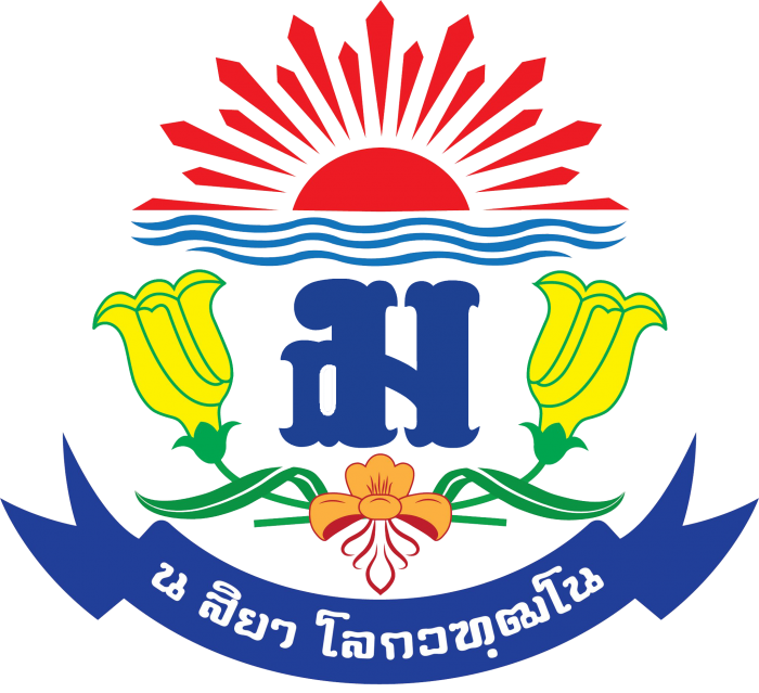 DSN Logo